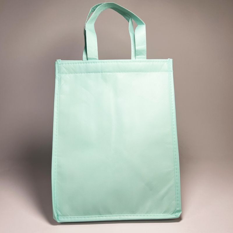 10 A  簡易保冷袋  