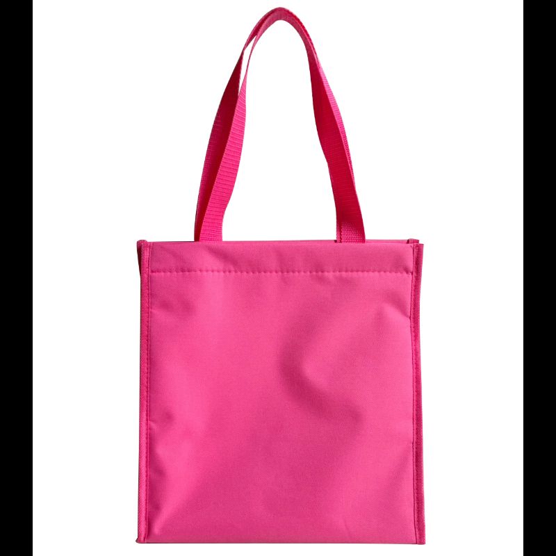 10 A  簡易保冷袋  